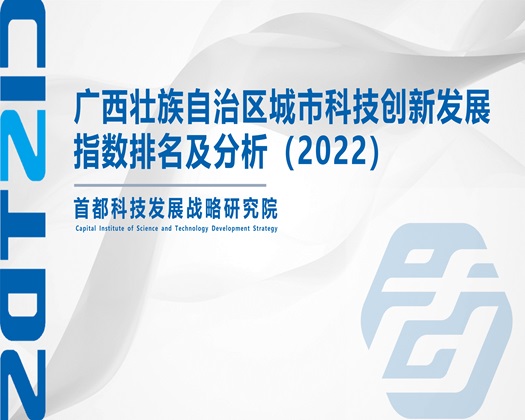 操逼高潮震动网站【成果发布】广西壮族自治区城市科技创新发展指数排名及分析（2022）